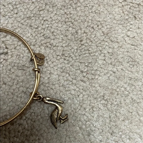 14 Alex and Ani assortment Stack of Mixed Metal Charm Bangle Bracelets - Picture 13 of 15